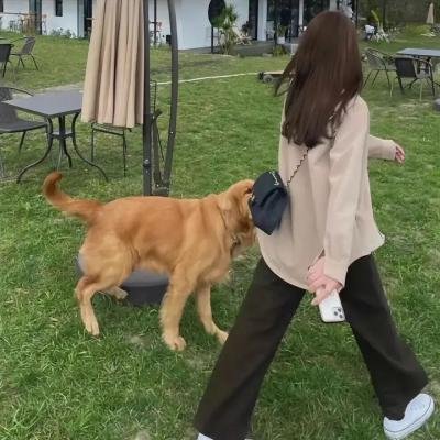 女影人生